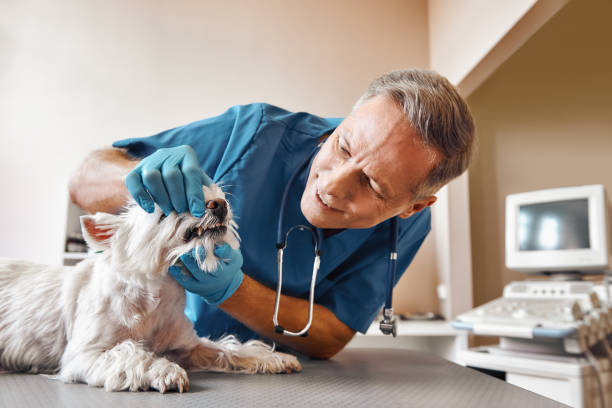 Best Emergency Tooth Extraction in Withamsville, OH